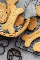 fait maison chien des biscuits photo