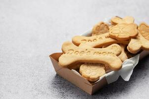 fait maison chien des biscuits photo