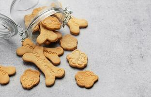 fait maison chien des biscuits photo