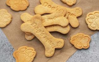 fait maison chien des biscuits photo