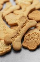 fait maison chien des biscuits photo