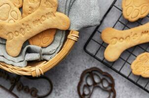 fait maison chien des biscuits photo