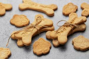 fait maison chien des biscuits photo