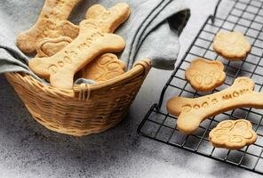 fait maison chien des biscuits photo