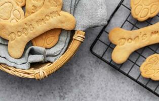 fait maison chien des biscuits photo