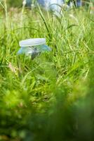 papillon dans une pot sur le vert herbe. sélectif concentrer photo