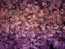 texture de la terre violette