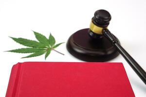 concentrer de loi livre, flou juge marteau et cannabis feuille ou marijuana feuille mis sur le dos. loi, judiciaire concept. photo