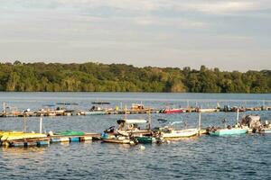 ordonné rivière bateaux près kampung photo