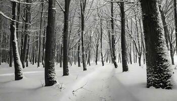 ai généré une noir et blanc photo de une neigeux forêt
