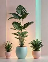 ai généré les plantes dans vibrant des pots photo