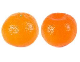 mandarines sur blanc photo