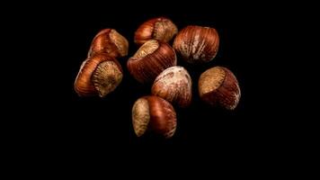 biologique marron noisettes. délicieux en bonne santé des noisettes, concept pour conception. gourmet Ingrédients pour culinaire les créations, l'automne récolte casse-croûte photo