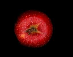 brillant, vivement coloré rouge Pomme sur une noir Contexte pendant une studio photo session dans le hiver de 2023