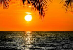 palmier sur la plage pendant le coucher du soleil d'une belle plage tropicale photo