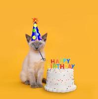 chaton sur jaune avec célébration de gâteau d'anniversaire photo