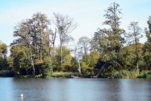 lac dans le parc photo