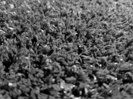 noir et blanc herbe Contexte proche voir, niveaux de gris herbe photo