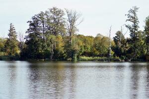 lac dans le parc photo