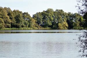 lac dans le parc photo