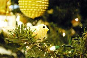 fond de décoration de noël. photo