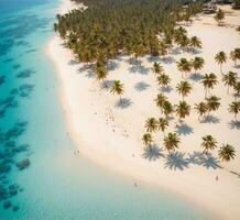 ai généré aérien vue de magnifique blanc le sable plage avec paume des arbres à Maldives photo