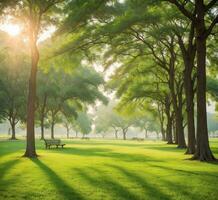 ai généré le coucher du soleil dans le parc avec vert herbe et des arbres, ancien Ton photo