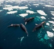 ai généré aérien vue de groupe de baleines et icebergs dans antarctique des eaux photo