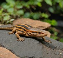 ai généré image de lézard sur le sol. reptile animal. reptile photo