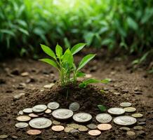 ai généré plante croissance de pile de pièces de monnaie. argent croissance concept. affaires investissement. photo