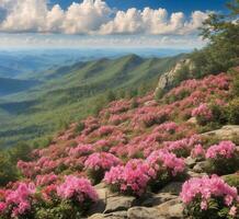 ai généré rose rhododendron fleurs sur le Contexte de le montagnes photo