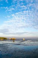 été, vue du matin sur une belle plage photo