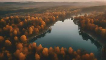 ai généré aérien vue de rivière dans l'automne forêt. Haut vue de brumeux forêt. photo