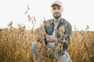 agriculteur agronome sur une soja champ. agricole industrie. photo