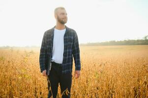 une Jeune Beau agriculteur ou agronome examine le maturité de soja dans le champ avant récolte photo