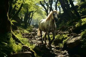 ai généré une majestueux cheval court par une paisible forêt, lumière du soleil filtration par le des arbres points forts ses puissant et gracieux mouvement. photo