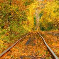 l'automne forêt par lequel un vieux tram monte Ukraine photo