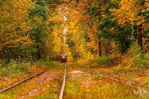 l'automne forêt par lequel un vieux tram monte Ukraine photo