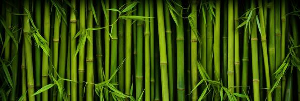 ai généré vert bambou texture pour intérieur ou extérieur conception, bambou clôture texture Contexte. photo
