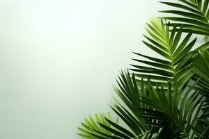 ai généré minimalisme se rencontre la nature une paume feuille bannière améliore simplicité avec botanique la grâce photo