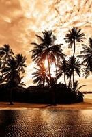 tropical plage sur le coucher du soleil photo