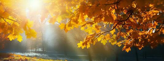 ai généré art magnifique l'automne paysage avec Jaune l'automne des arbres et Soleil. coloré feuillage dans le forêt. photo