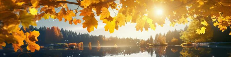 ai généré magnifique l'automne paysage avec Jaune l'automne des arbres et Soleil. coloré feuillage dans le forêt. Naturel photo