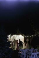 mariage la cérémonie sur le rive de le lac. La peinture la cérémonie dans le soir. romantique peinture. le présidium est décoré avec blanc fleurs. blanc chaises. le la mariée et jeune marié doucement tenir mains photo