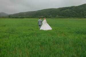 grand angle portrait de le la mariée et jeune marié en marchant sur une vert Prairie contre le Contexte de montagnes. arrière voir. magnifique robe. élégant jeune marié. mariage photo