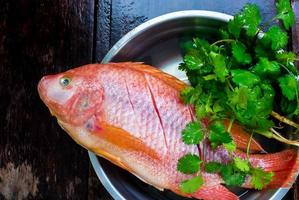 les poissons frais sont congelés préparez-vous à la cuisson photo