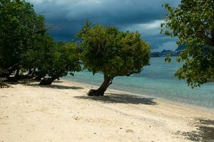 paradis plage dans le philippines photo