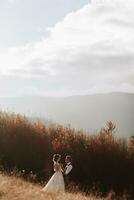 aimant couple dans le montagnes. mariages dans le montagnes. retour vue de le nouveau marié couple permanent sur le montagnes et profiter le paysage. photo