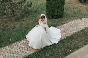 mariage photo. le la mariée dans une volumineux blanc robe et une longue voile des promenades dans le jardin le long de une pierre chemin. vue de au-dessus de. portrait de le la mariée. magnifique boucles. magnifique maquillage et cheveux. photo