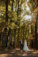 content couple. mariage photo. couple dans aimer, en marchant dans le forêt à coucher de soleil, mariage robe avec longue former, endroit pour La publicité photo